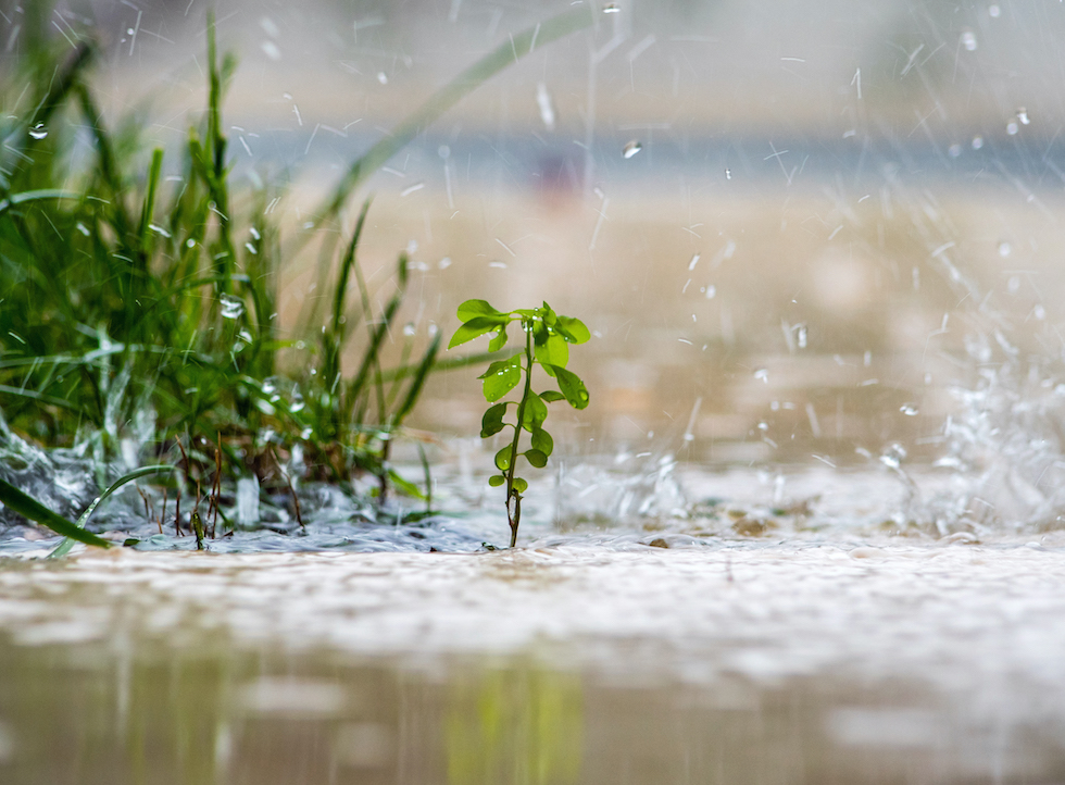 Storm Water Engineering San Diego